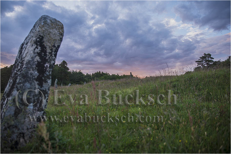 Skymning &ouml;ver gravf&auml;lt - foto av Eva Bucksch